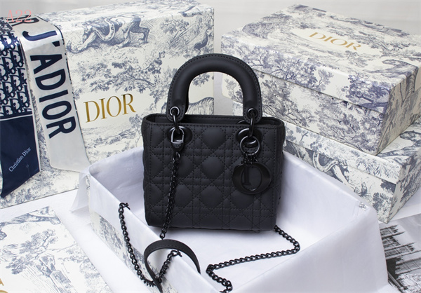Dior Bags AAA 007